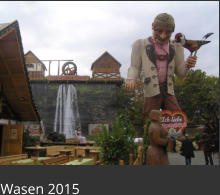 Wasen 2015