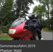 Sommerausfahrt 2019  Pfaelzer Wald