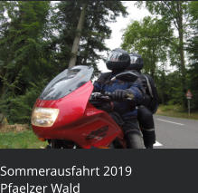Sommerausfahrt 2019  Pfaelzer Wald